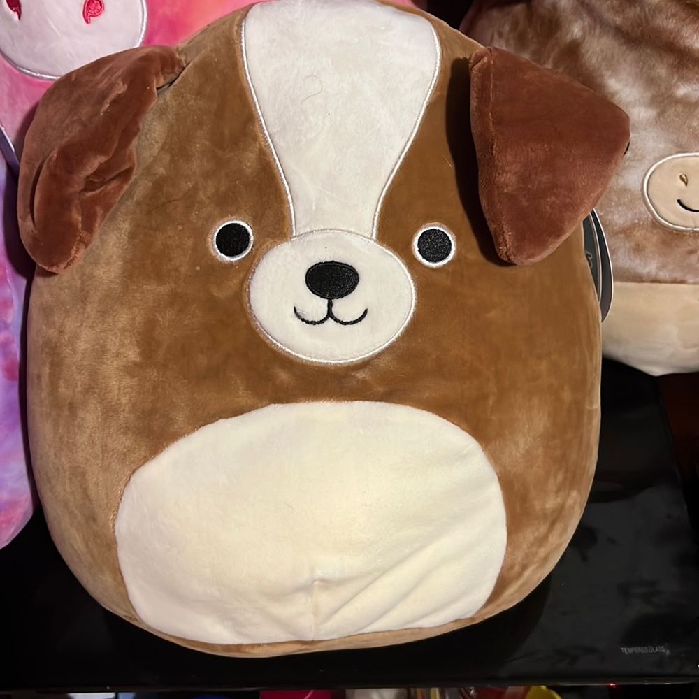 Bernie dog squishmallow